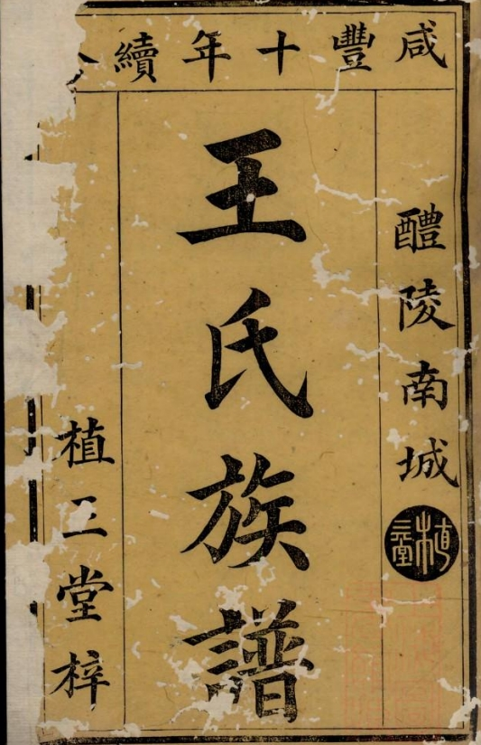 湖南醴陵南城王氏族谱